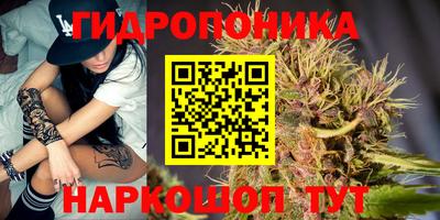 наркотики Кандалакша